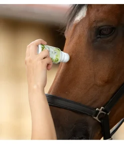 SHOWMASTER Anti-insectes à l'huile de neem , applicateur à bille Outlet