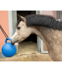 SHOWMASTER Balle de jeu Bruno bleu Outlet