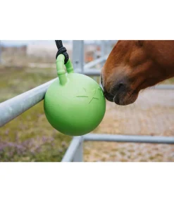 SHOWMASTER Balle de jeu Bruno pomme vert Sale