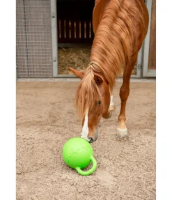 SHOWMASTER Balle de jeu Bruno pomme vert Sale