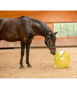 SHOWMASTER Balle de jeu pour cheval néon Best