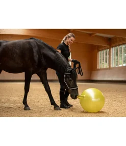 SHOWMASTER Balle de jeu pour cheval néon Best