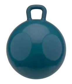 SHOWMASTER Balle de jeu pour cheval turquoise New