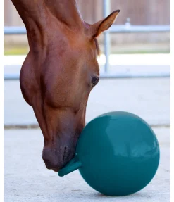 SHOWMASTER Balle de jeu pour cheval turquoise New