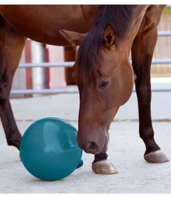 SHOWMASTER Balle de jeu pour cheval turquoise New