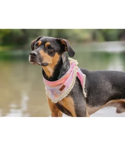sugar dog Bandana Batik pour chien Dakota multicolore Outlet