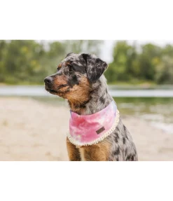 sugar dog Bandana Batik pour chien Dakota multicolore Outlet
