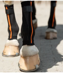 Felix Bühler Bandes de compression Ceramic Rehab, pour antérieurs noir Hot