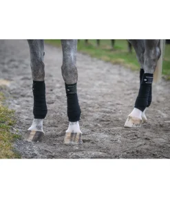 SHOWMASTER Bandes en polaire Brilliant noir Online