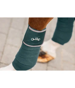 Felix Bühler Bandes en polaire Classy vert d´eau Hot