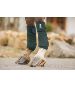 Felix Bühler Bandes en polaire Swiss Design thé vert Online