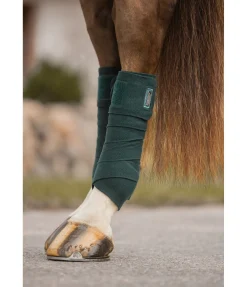 Felix Bühler Bandes en polaire Swiss Design thé vert Online