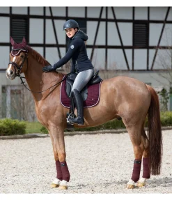 SHOWMASTER Bandes polaire Basic acajou Clearance