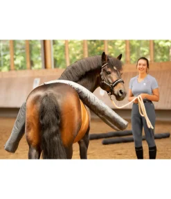 SHOWMASTER Barre multifonction carbone