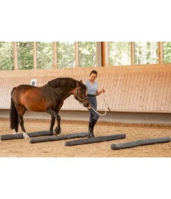 SHOWMASTER Barre multifonction carbone