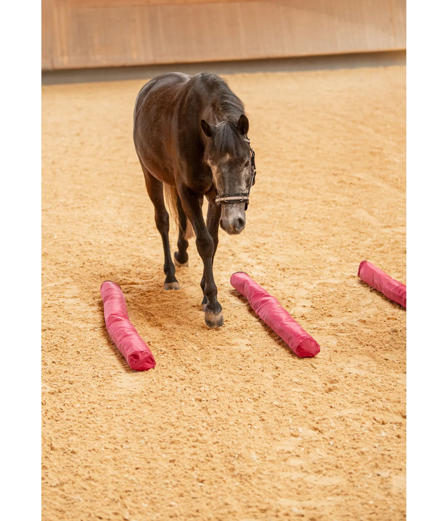 SHOWMASTER Barre multifonction pink Sale