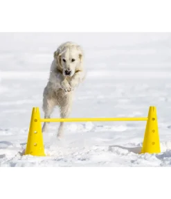 sugar dog Barres d'agility jaune
