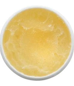 sugar dog Baume coussinets pour chien Soft Velvet Online