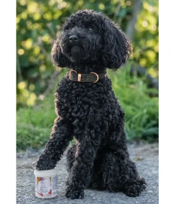 sugar dog Baume coussinets pour chien Soft Velvet Online