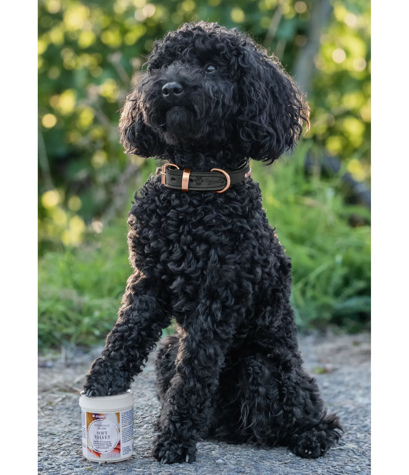 sugar dog Baume coussinets pour chien Soft Velvet Online