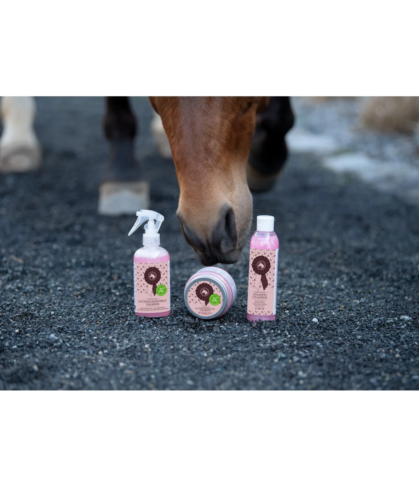SHOWMASTER Baume pailleté pour sabots Champion Sale