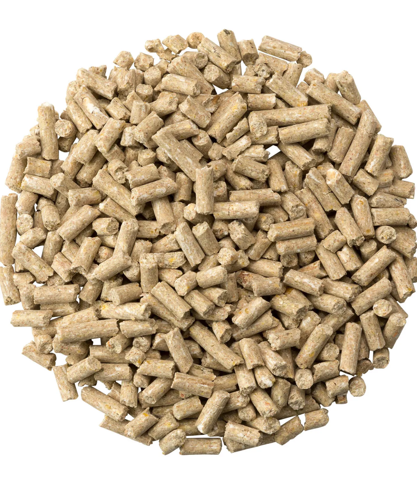 Original Landmühle Biotine Booster Outlet