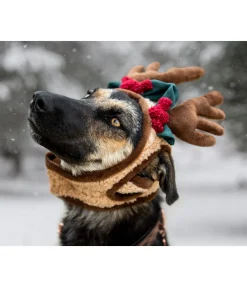 sugar dog Bois de rennes pour chien Rudolf brun Clearance