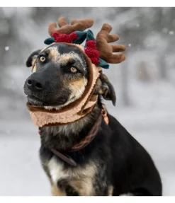 sugar dog Bois de rennes pour chien Rudolf brun Clearance
