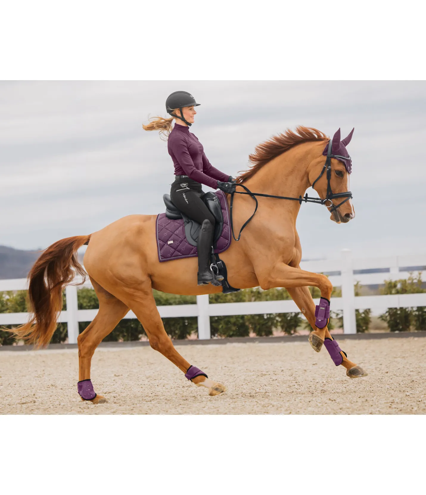 Felix Bühler Bonnet anti-mouches Signature II noir-violet Clearance