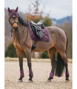 Felix Bühler Bonnet anti-mouches Signature II noir-violet Clearance
