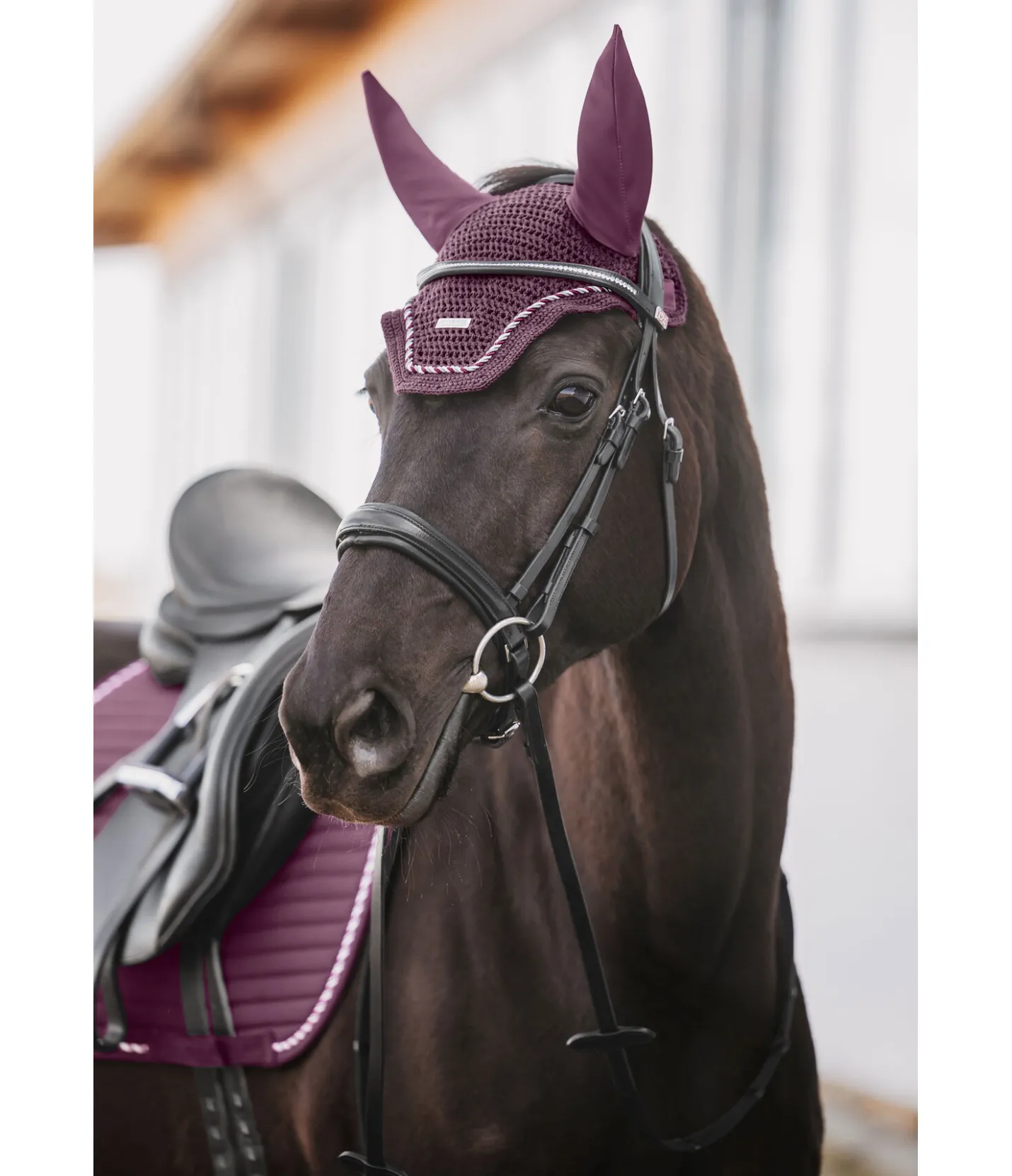 Felix Bühler Bonnet anti-mouches Sophistication noir-violet Online