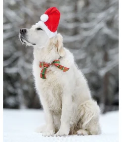 sugar dog Bonnet de Noël pour chien Santa rouge New