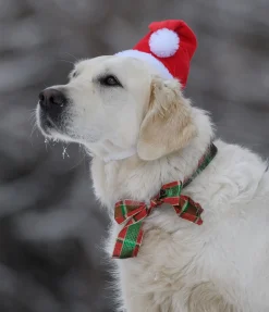 sugar dog Bonnet de Noël pour chien Santa rouge New