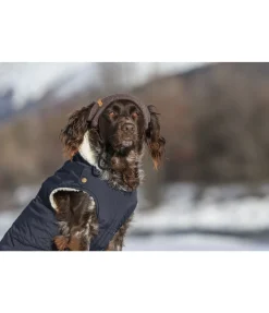 sugar dog Bonnet pour chien Evin noix