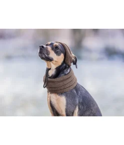 sugar dog Bonnet pour chien Evin noix