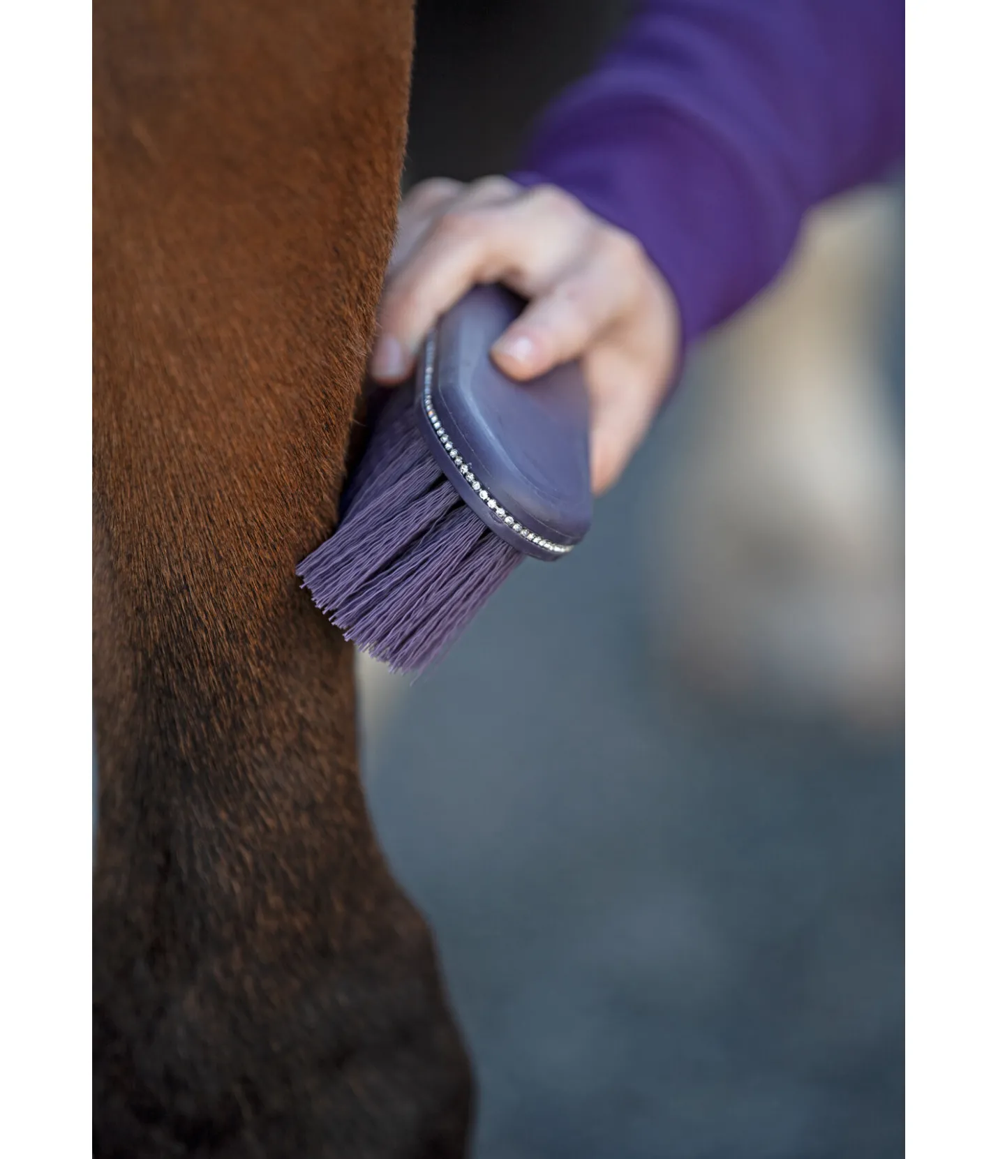 SHOWMASTER Bouchon Brilliant violet foncé