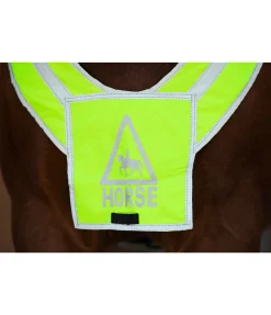 STEEDS Bricole réfléchissante jaune Online