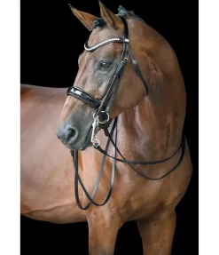CLARIDGE HOUSE Bridon Dressage II noir/argenté Sale
