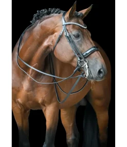 CLARIDGE HOUSE Bridon Dressage II noir/argenté Sale