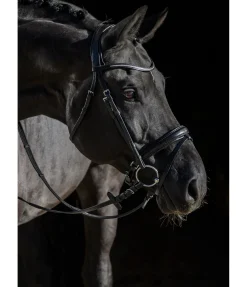 CLARIDGE HOUSE Bridon avec boucle de noseband amovible Mirissa noir Online