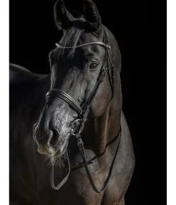 CLARIDGE HOUSE Bridon avec boucle de noseband amovible Mirissa noir Online