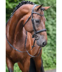 CLARIDGE HOUSE Bridon avec boucle de noseband amovible Mirissa noir Online