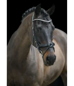 CLARIDGE HOUSE Bridon avec noseband amovible Berlin noir/argenté