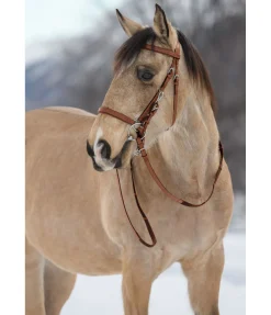 TWIN OAKS Bridon de randonnée Nevada brun New