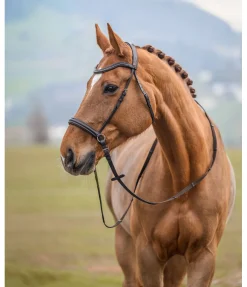 SHOWMASTER Bridon sans embouchure Gentle Connection marron foncé Best