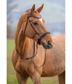 SHOWMASTER Bridon sans embouchure Gentle Connection marron foncé Best