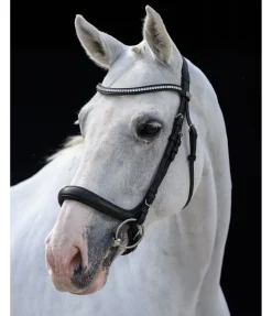 CLARIDGE HOUSE Bridon sans noseband Vienna Soft noir/argenté Best