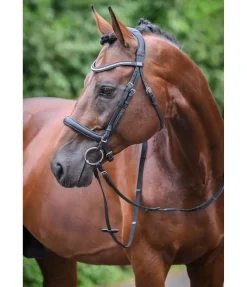 CLARIDGE HOUSE Bridon sans noseband Vienna Soft noir/argenté Best