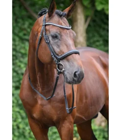 CLARIDGE HOUSE Bridon sans noseband Vienna Soft noir/argenté Best