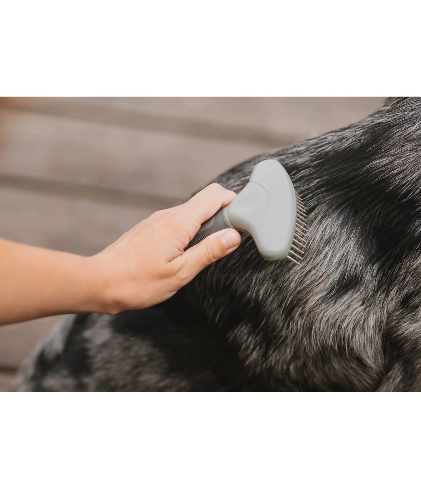 sugar dog Brosse à démêler pour chien Maylo olive antique